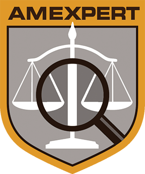 Logo AMEXPERT